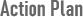 Action Plan